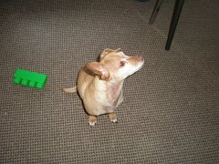 IMG-20100826-103614 : July-21-29-2010