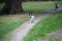 IMG-20100826-152716a