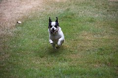 IMG-20100826-152800