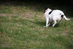 IMG-20100826-152923