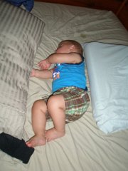 IMG-20100826-160957 : July-21-29-2010