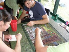 IMG-20100826-161017 : July-21-29-2010