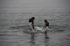 IMG-20100826-164214