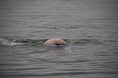 IMG-20100826-164254a