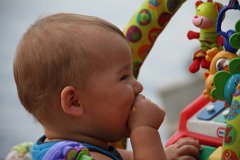 IMG-20100826-170729
