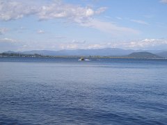 IMG-20100827-170640 : July-21-29-2010
