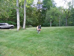 IMG-20100827-174705 : July-21-29-2010