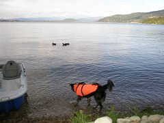 IMG-20100827-174830 : July-21-29-2010