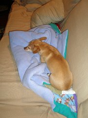 IMG-20100827-195459 : July-21-29-2010