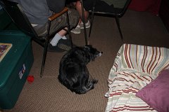 IMG-20100827-210333