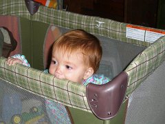 IMG-20100828-093342 : July-21-29-2010