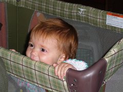 IMG-20100828-093404 : July-21-29-2010