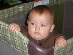 IMG-20100828-093419 : July-21-29-2010