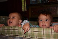 IMG-20100828-101133