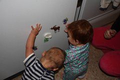 IMG-20100828-101610