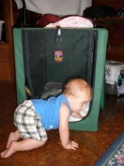 IMG-20100828-200127 : July-21-29-2010