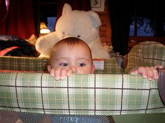 IMG-20100828-201110 : July-21-29-2010