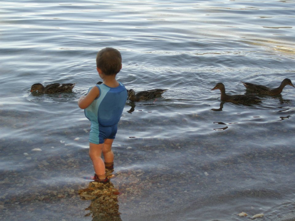2011-09-06-15-21-19 9-5-2011 051