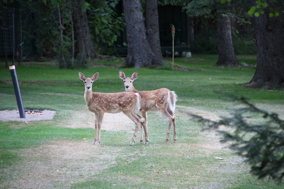 2011-09-07-17-29-39 IMG 09512