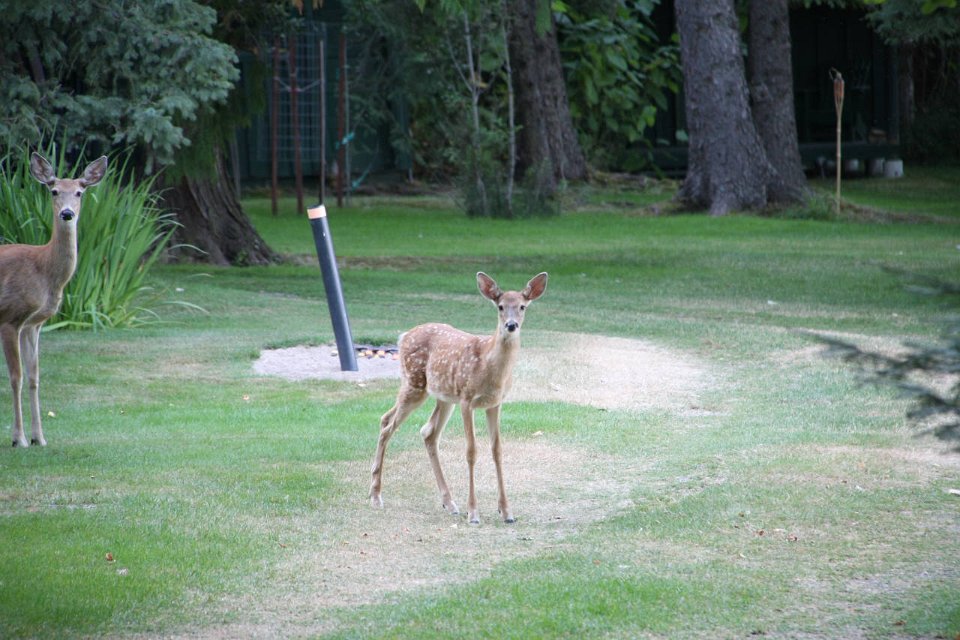 2011-09-07-17-34-35 IMG 09523