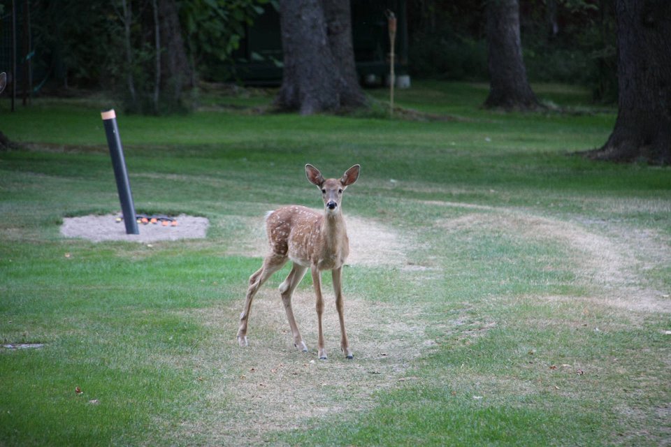 2011-09-07-17-34-43 IMG 09524