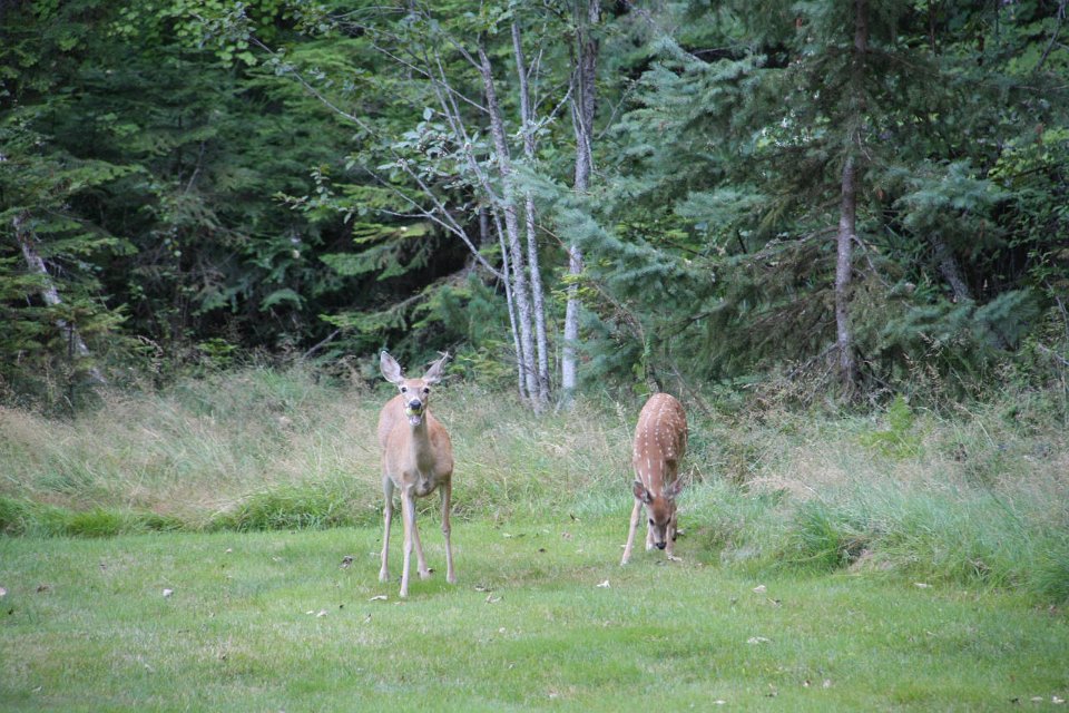 2011-09-07-17-36-38 IMG 09532