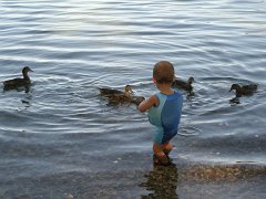 2011-09-06-15-21-51 9-5-2011 053 : 9-5-2011