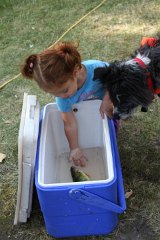 2011-09-08-10-13-22 IMG 09603