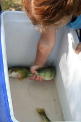2011-09-08-10-20-36 IMG 09616