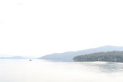 E7D 8689