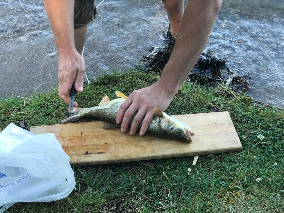 IMG 7966