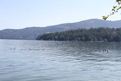 E7D 9673
