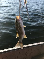 IMG 7776