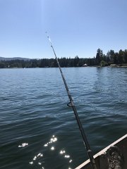 IMG 7780