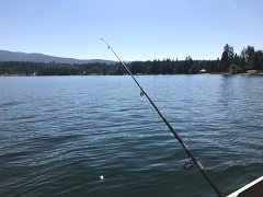IMG 7781