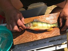 IMG 7784