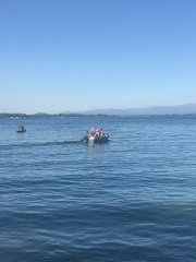 IMG 7803