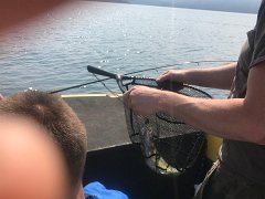 IMG 7859