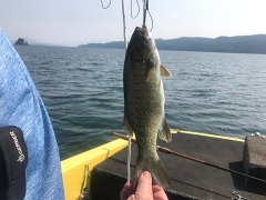 IMG 7867