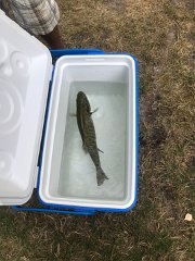 IMG 7874