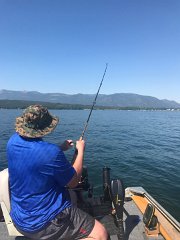 IMG 7945
