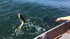 IMG 7956