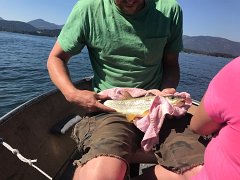 IMG 7959