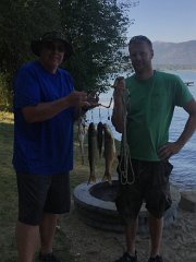 IMG 7961