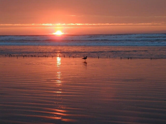 day04ysunset