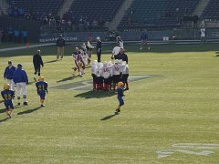 Seahawks 008