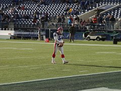 Seahawks 021