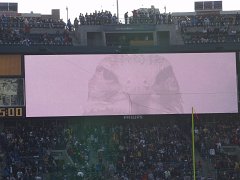 Seahawks 056