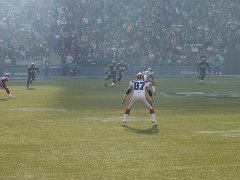 Seahawks 071
