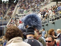 Seahawks 088